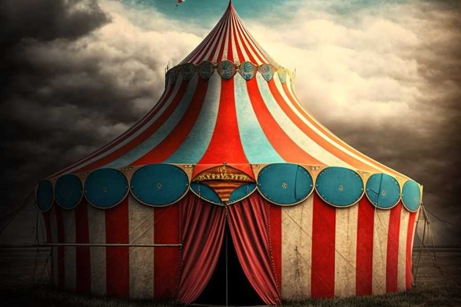 Квест в реальности Загадочный цирк от компании Юные детективы Квест в реальности Загадочный цирк от компании Юные детективы